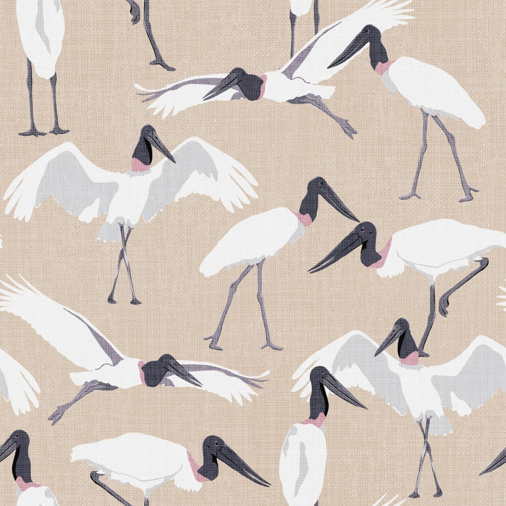 Morning Delight at Lake Hawea