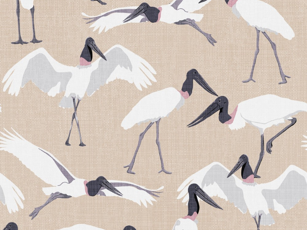 Morning Delight at Lake Hawea