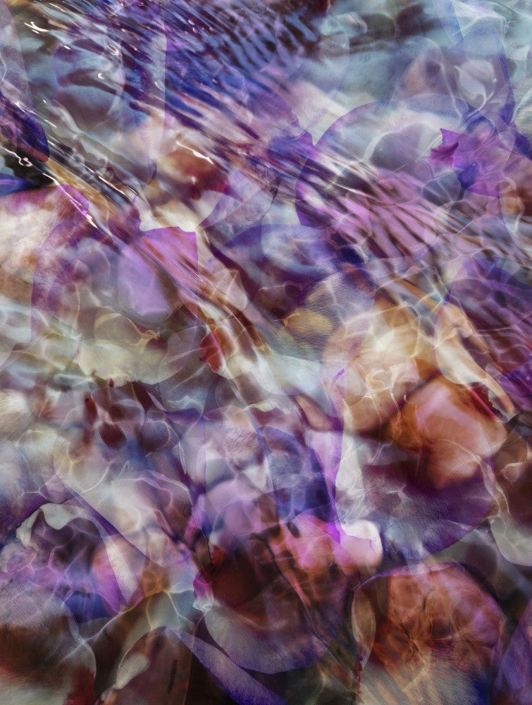 Purple Tide