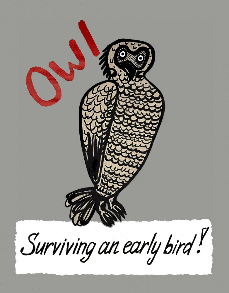 Surviving An Early Bird!