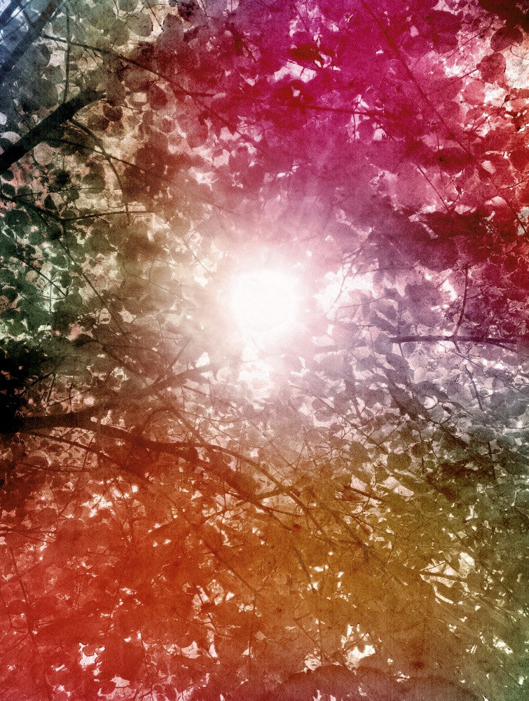 Memories of Light