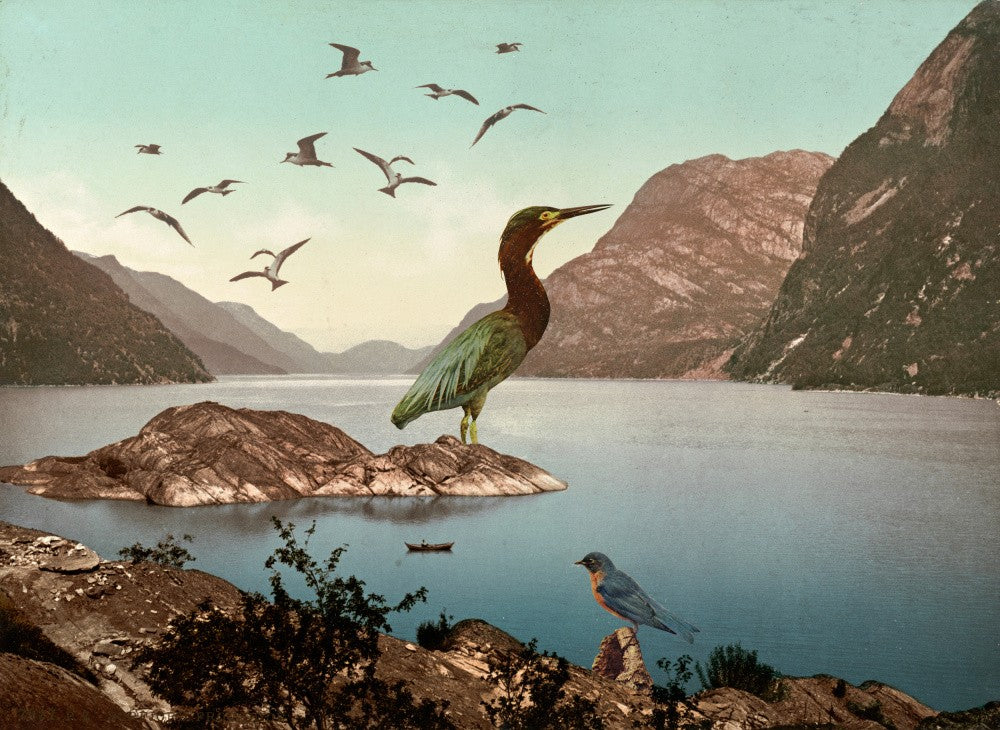Bird Sanctuary