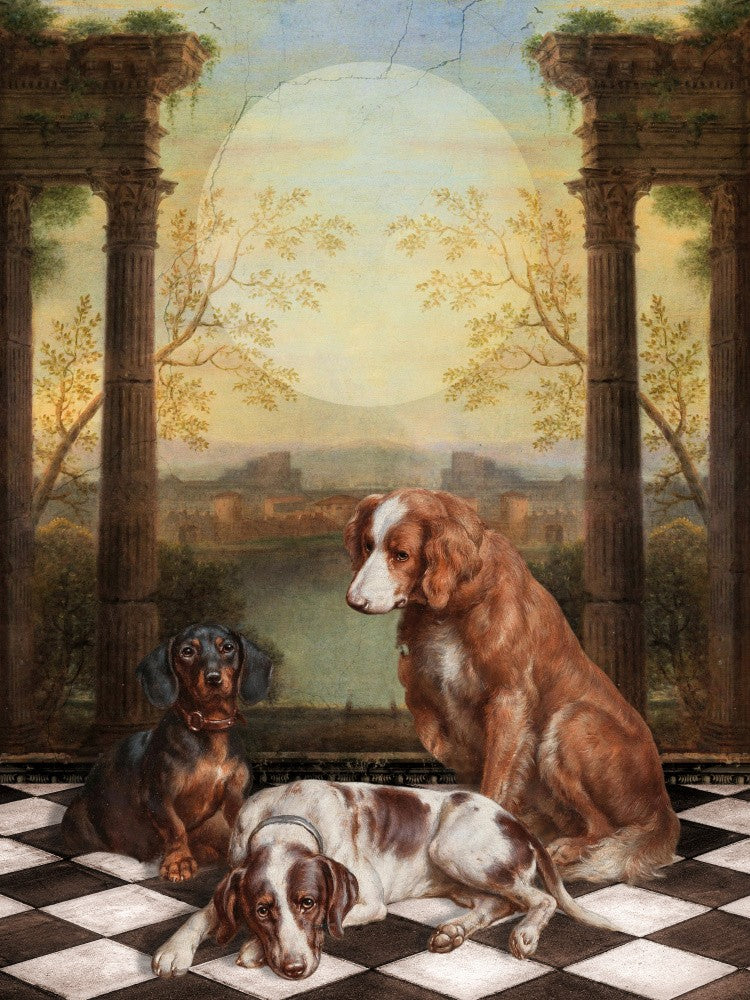 Midnight Dogs