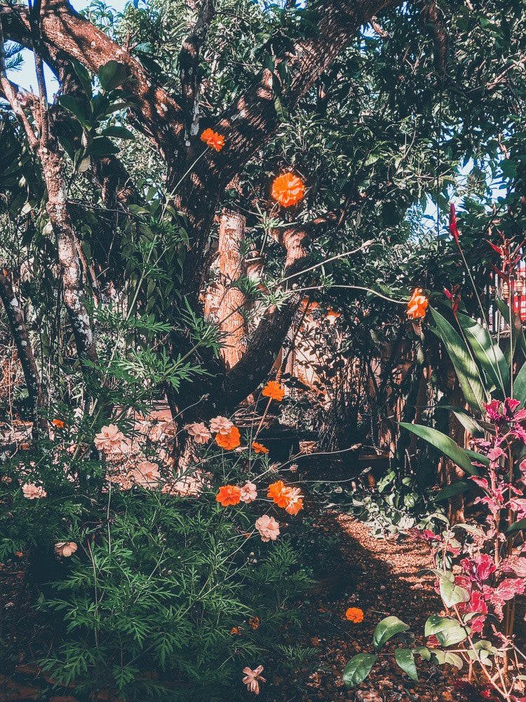 Garden Archives