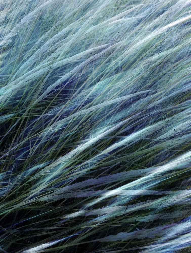 Blue Wind