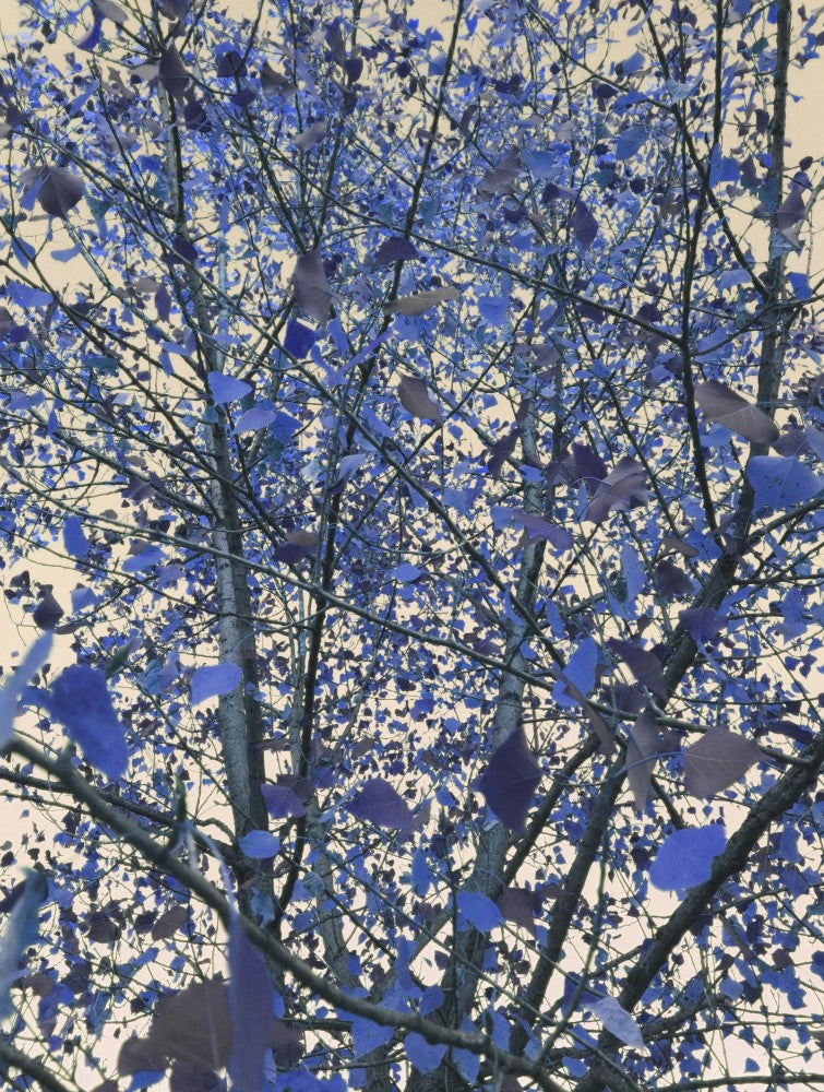 Blue November
