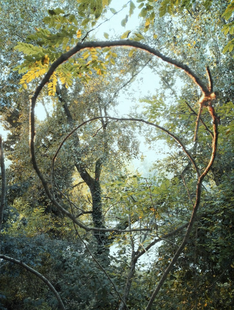 Circularity