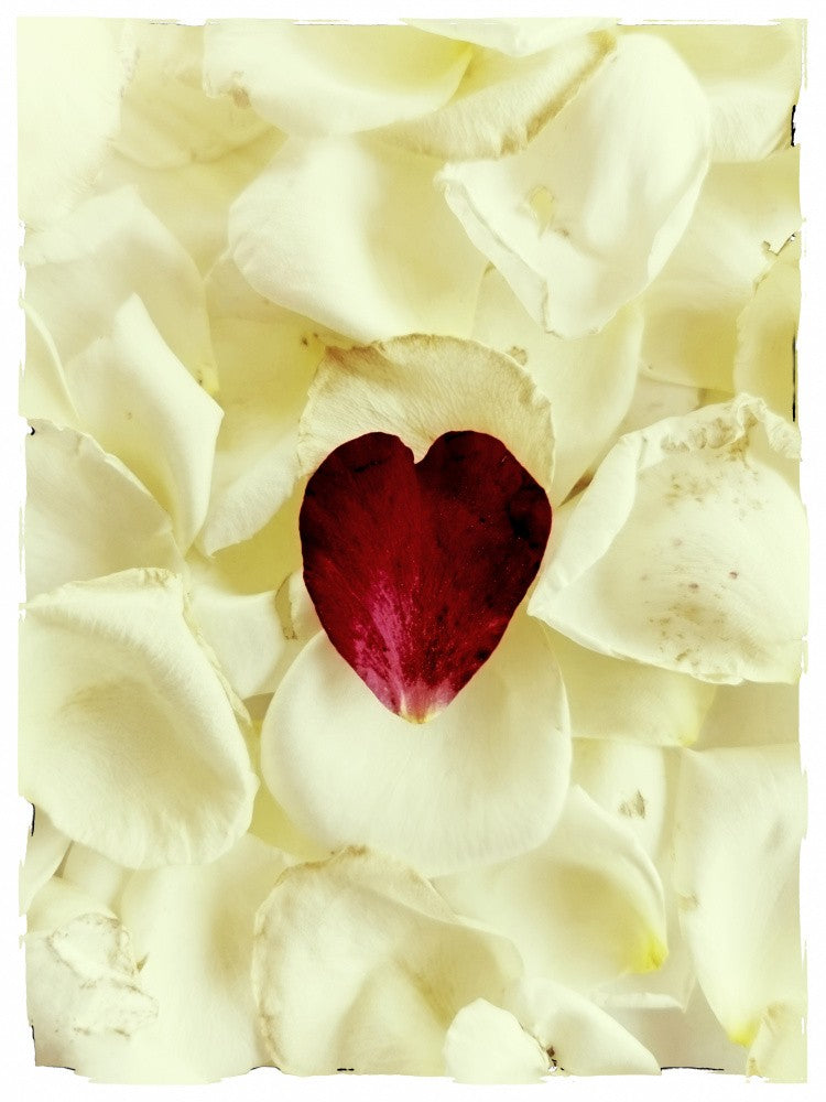 Lonely Heart