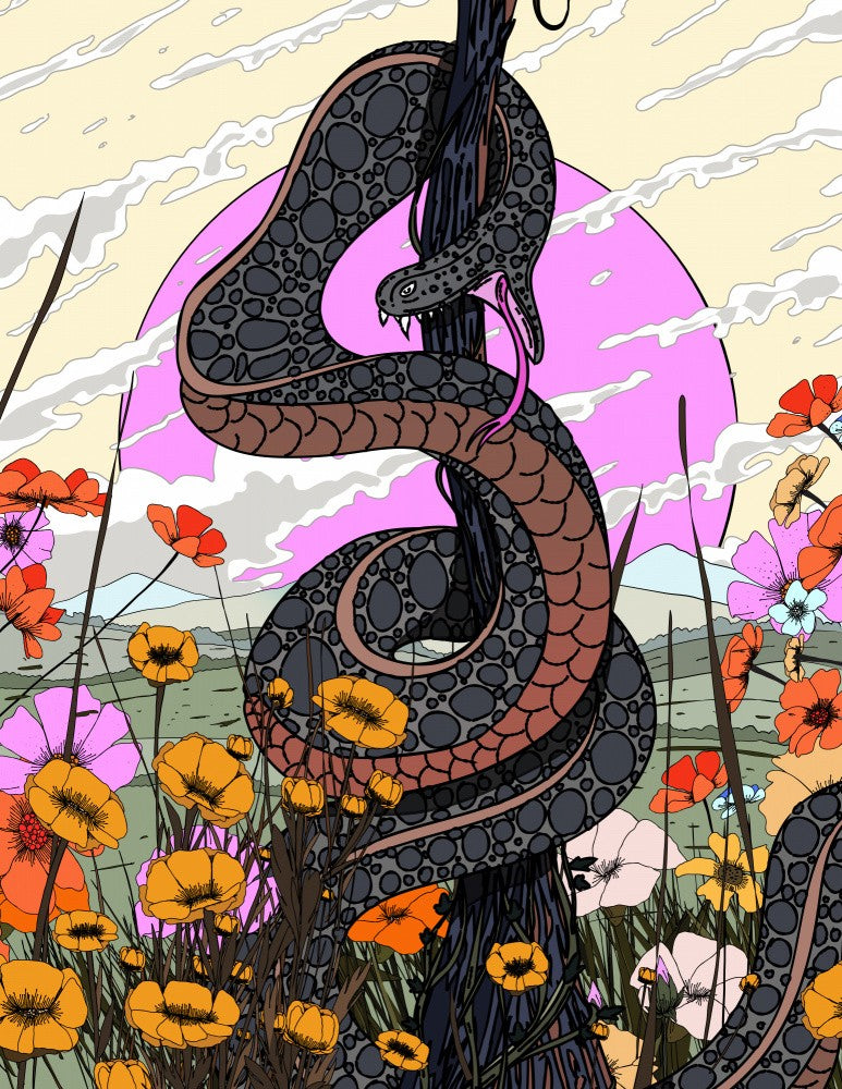 Snake In Asia
