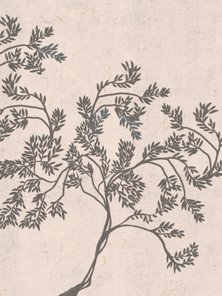 Acacia nilotica