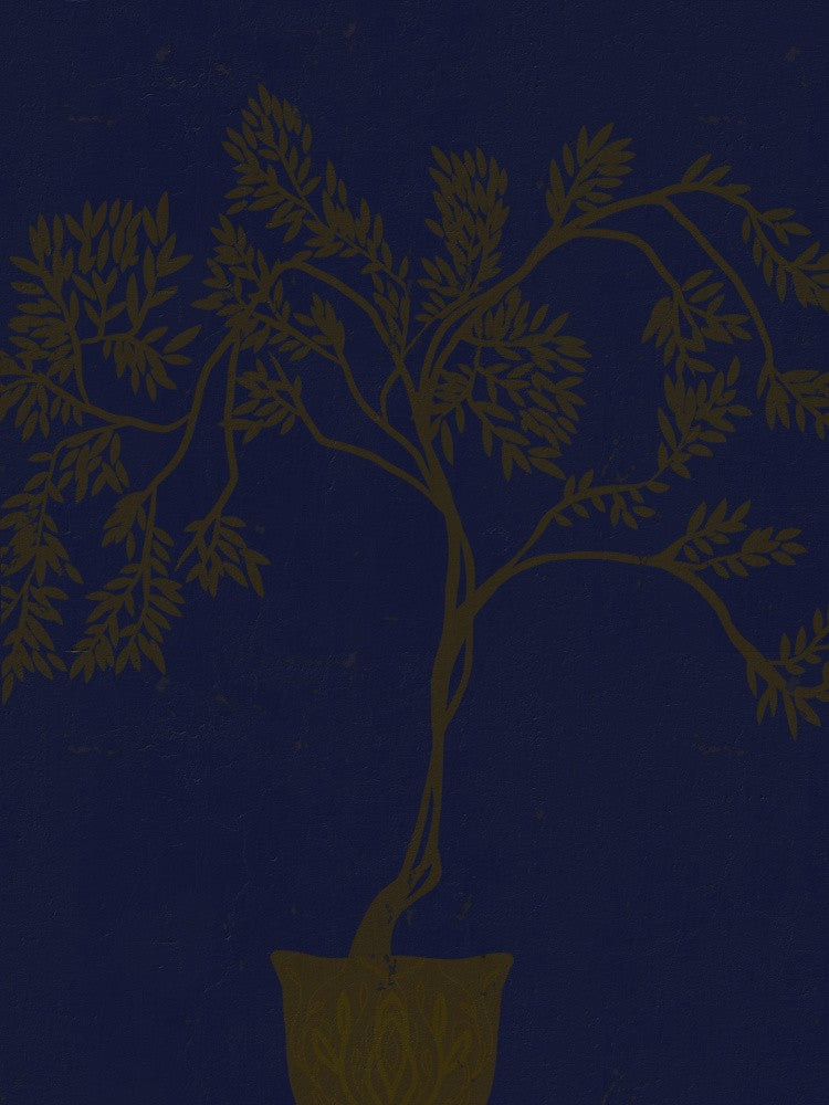 Persian silk tree