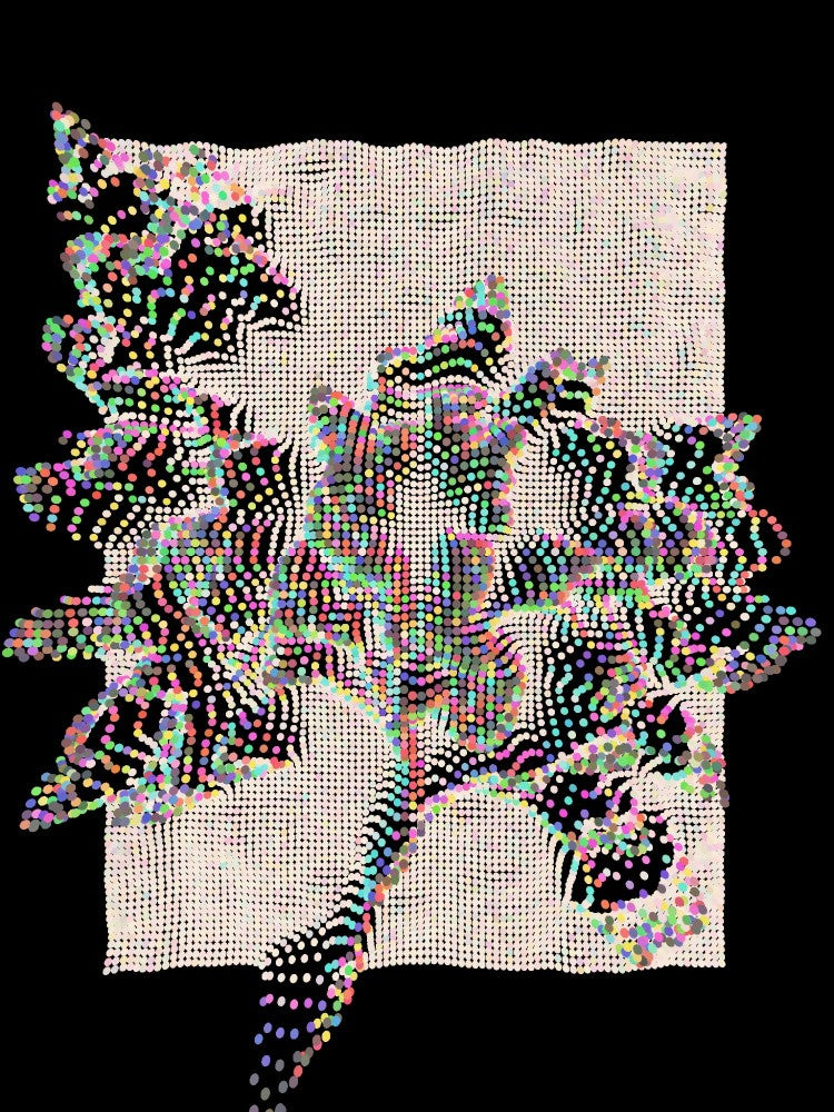 Lattice Deformis