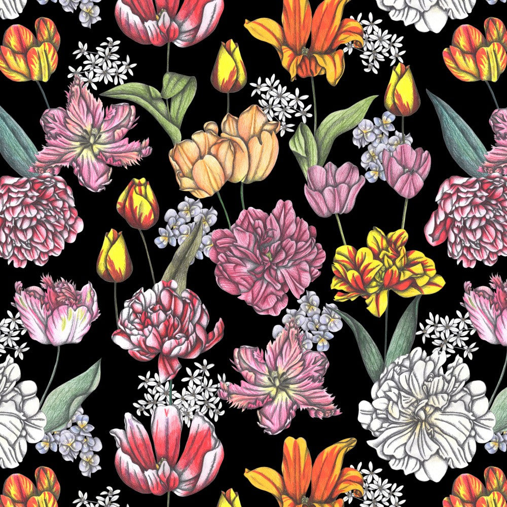Tulips in Bloom