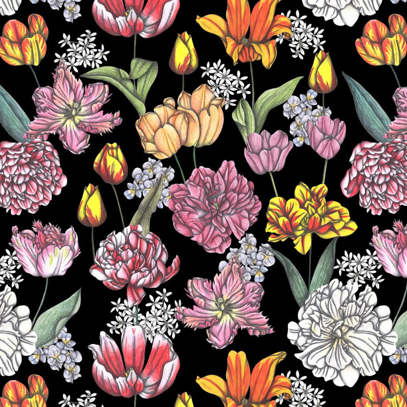 Tulips in Bloom