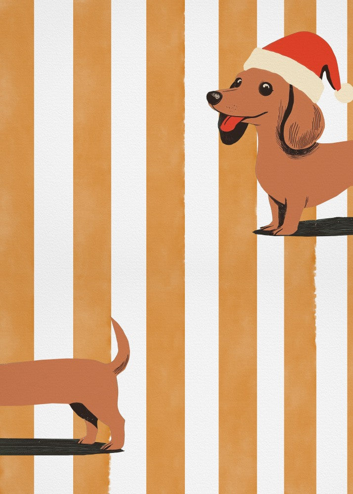 Dachshund