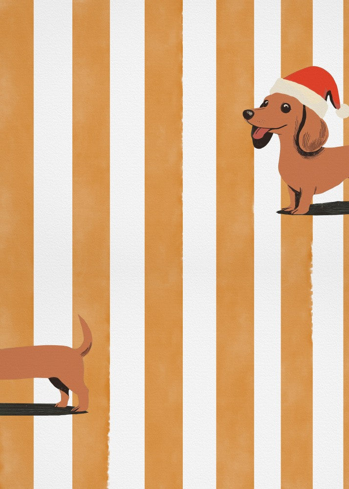 Dachshund