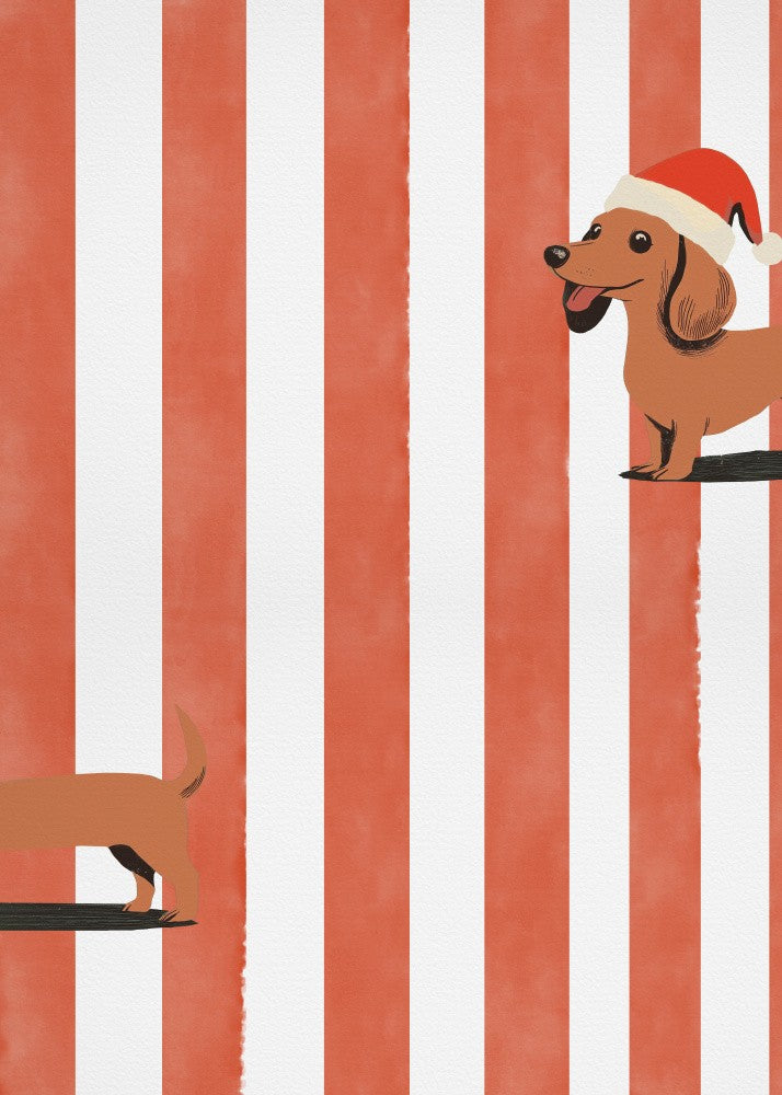 Dachshund