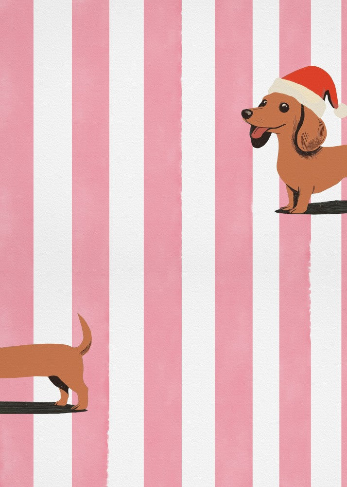 Dachshund