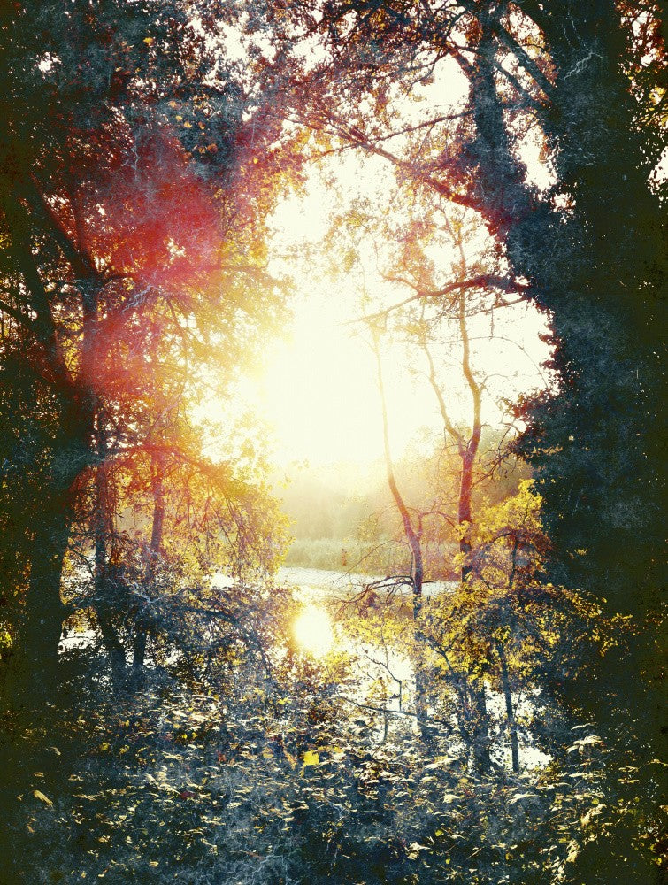 Sunset Gift