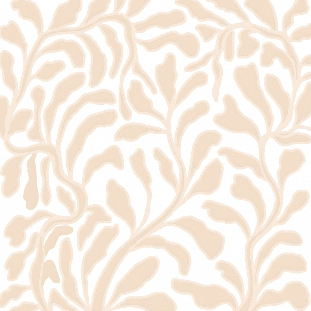 Decorum