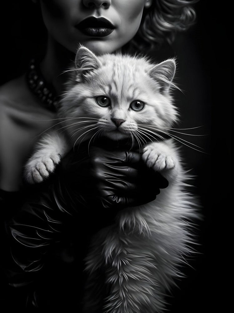 Noir Eleganta