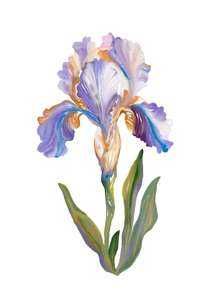 Iris Light