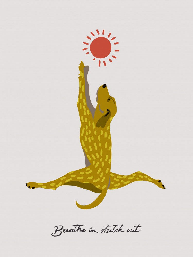 Yoga Dogs - Breathe in, stretch out