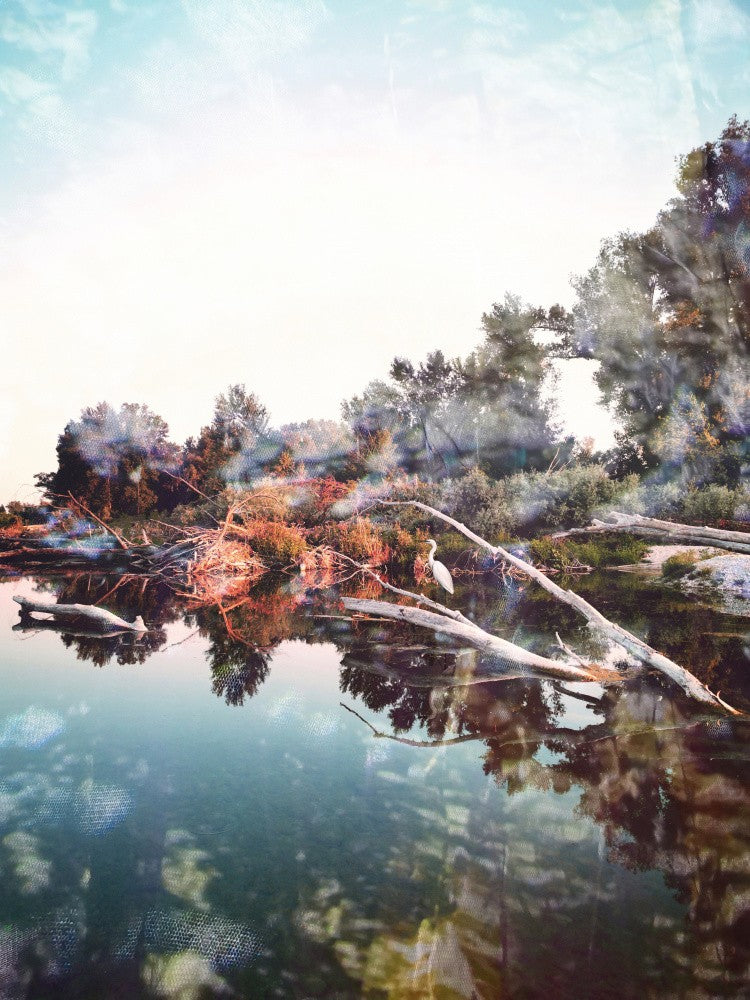 Arcadian (3)