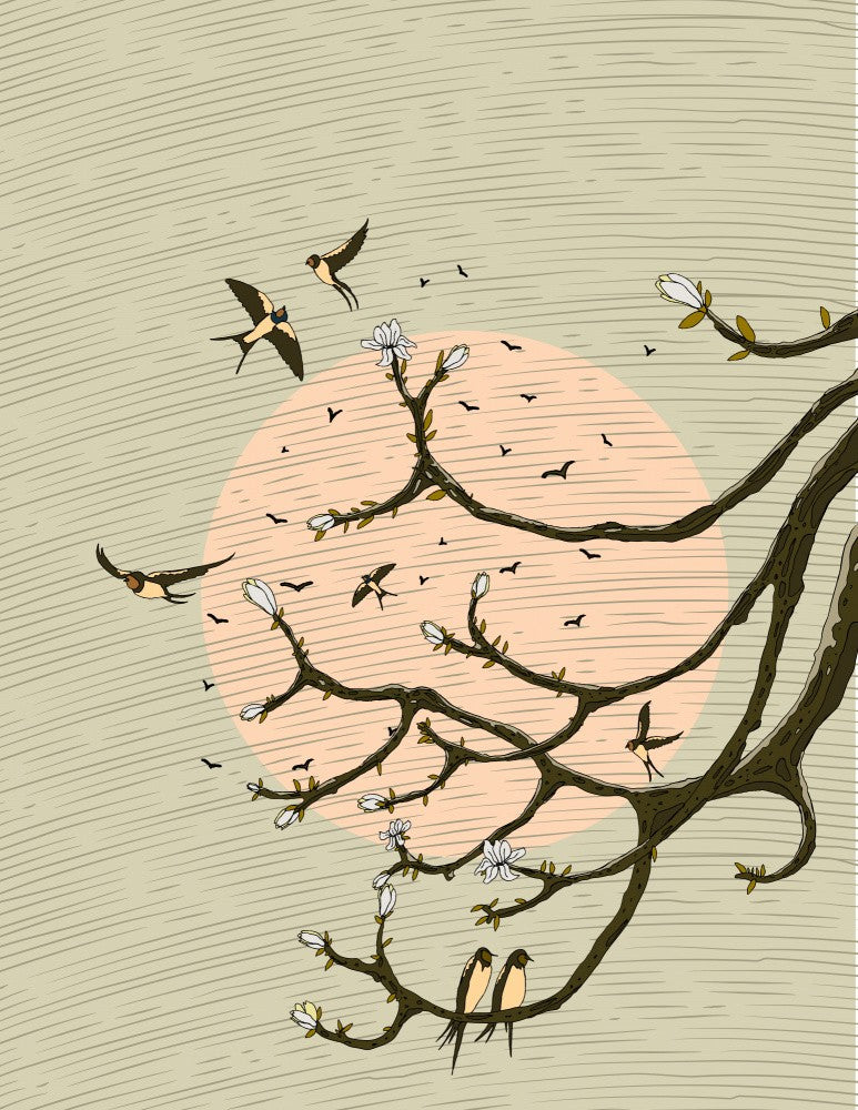 Swallows