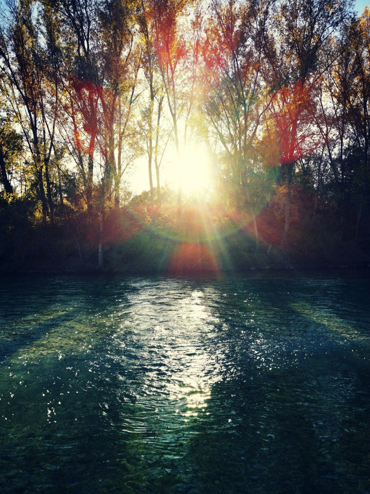 Sunday Sunset
