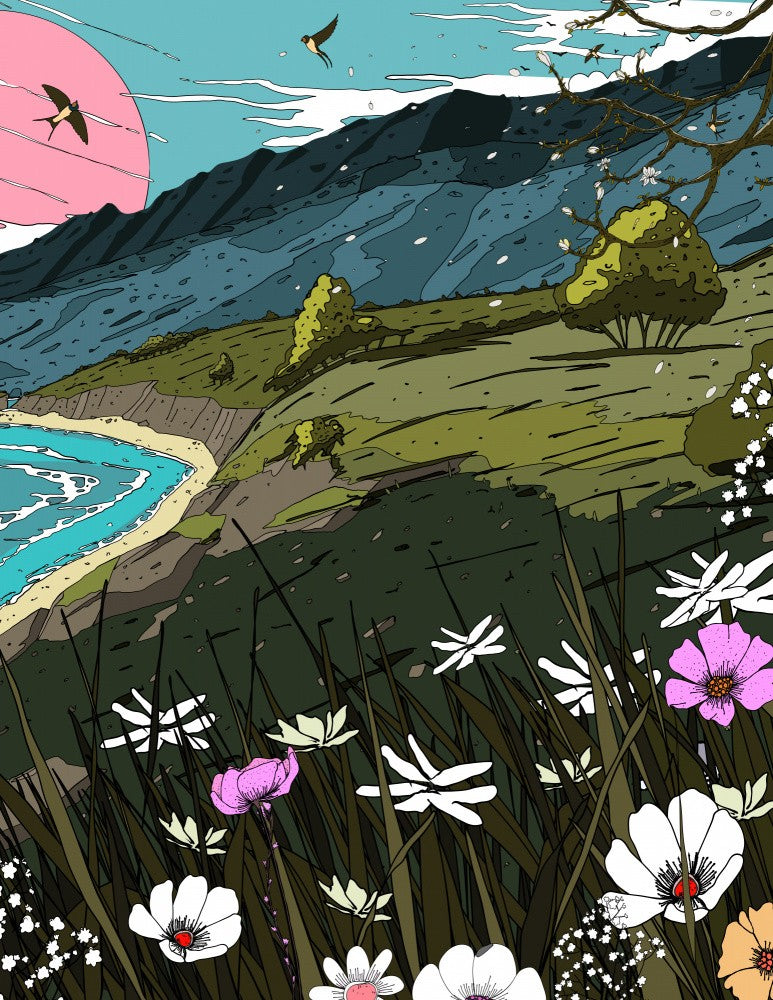 Landscape Coast
