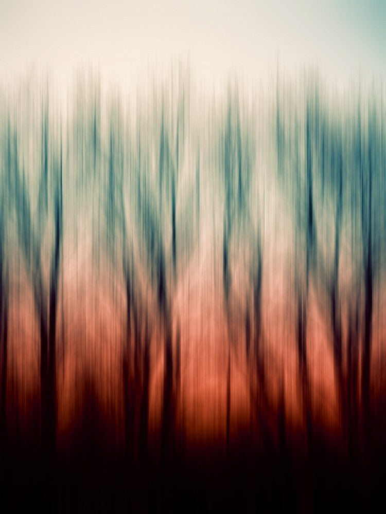 Winter Sunset
