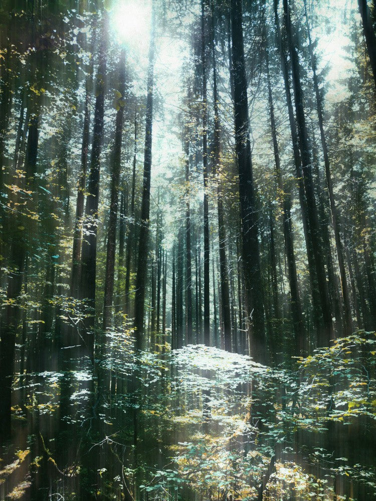 Stillness