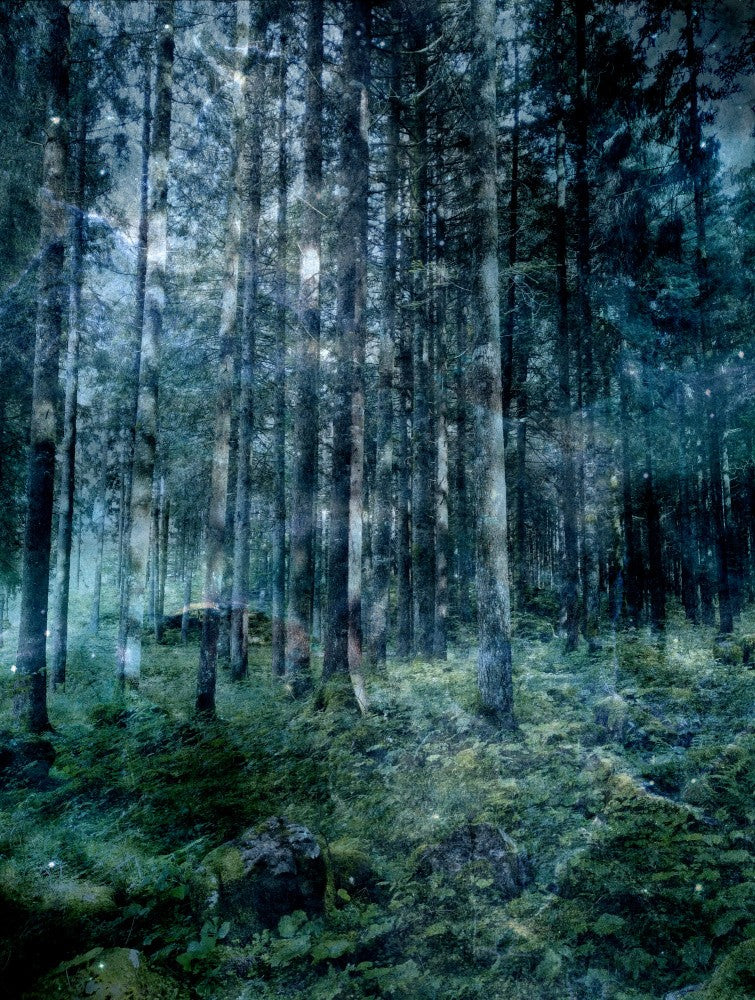 Unhurried Ghosts