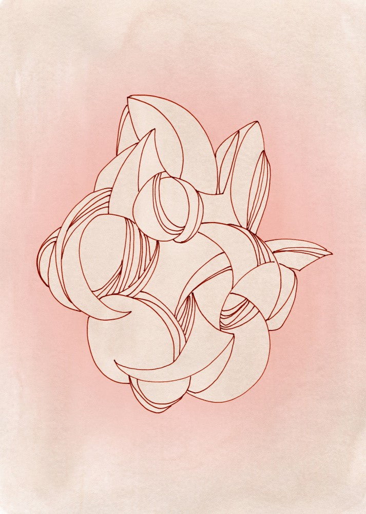 Rose Vivid Rhythm