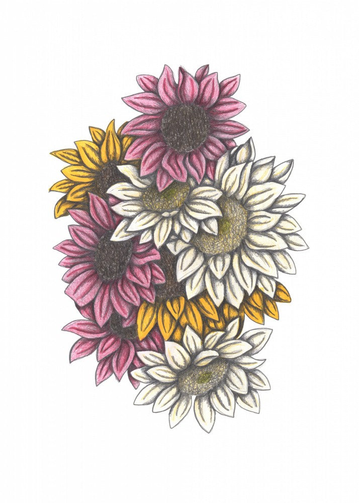 Rainbow of Sunflowers