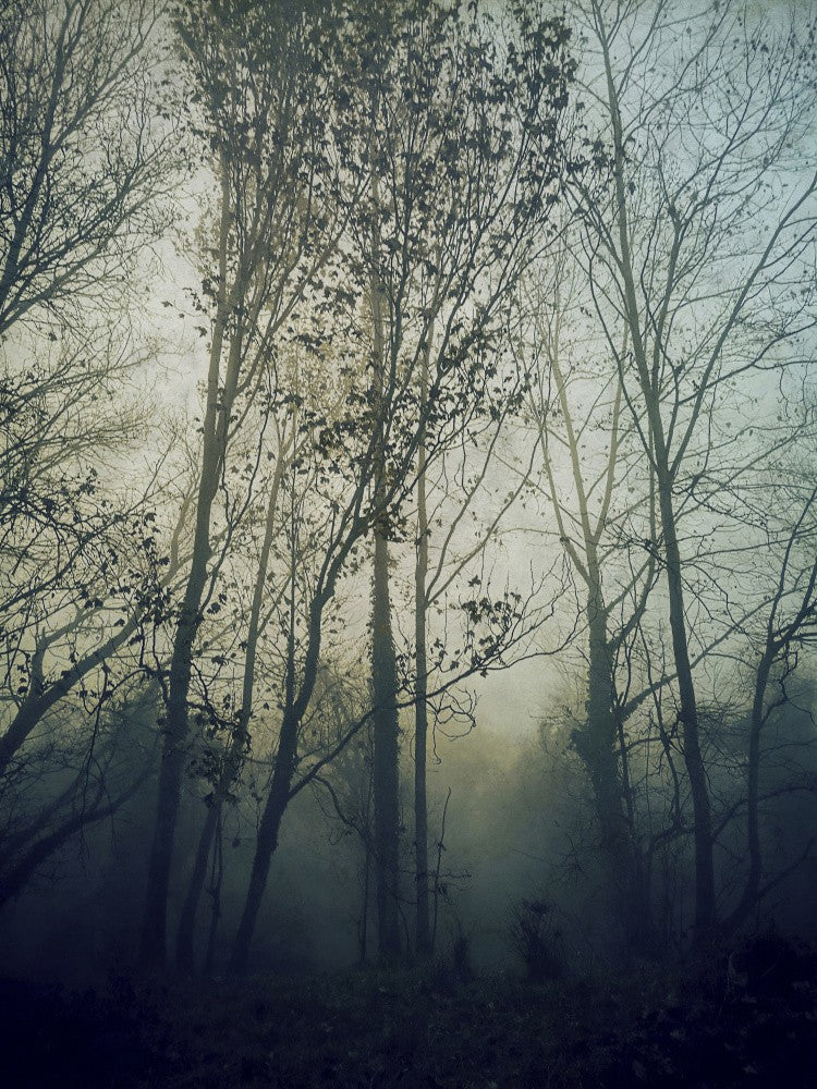 Atmosphere (1)