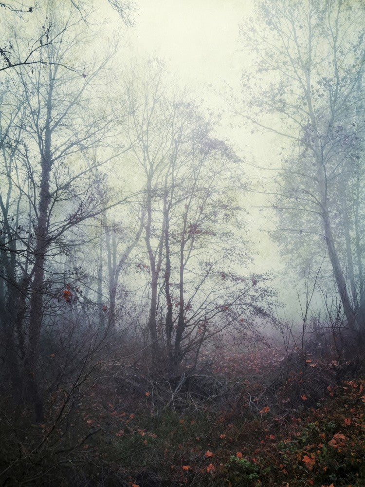 Atmosphere (3)