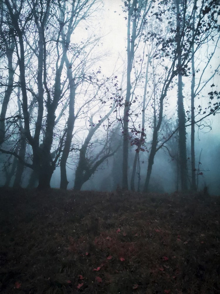 Atmosphere (4)
