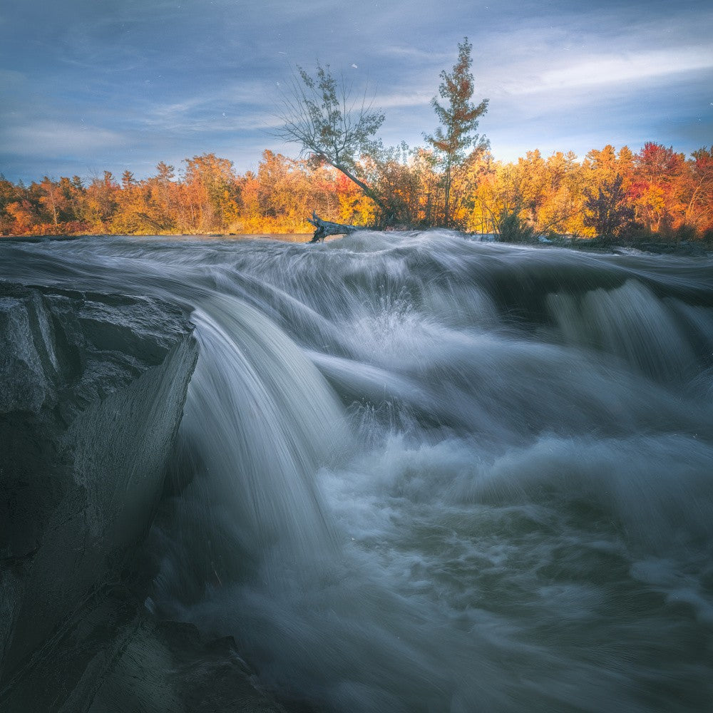 Nature landscape