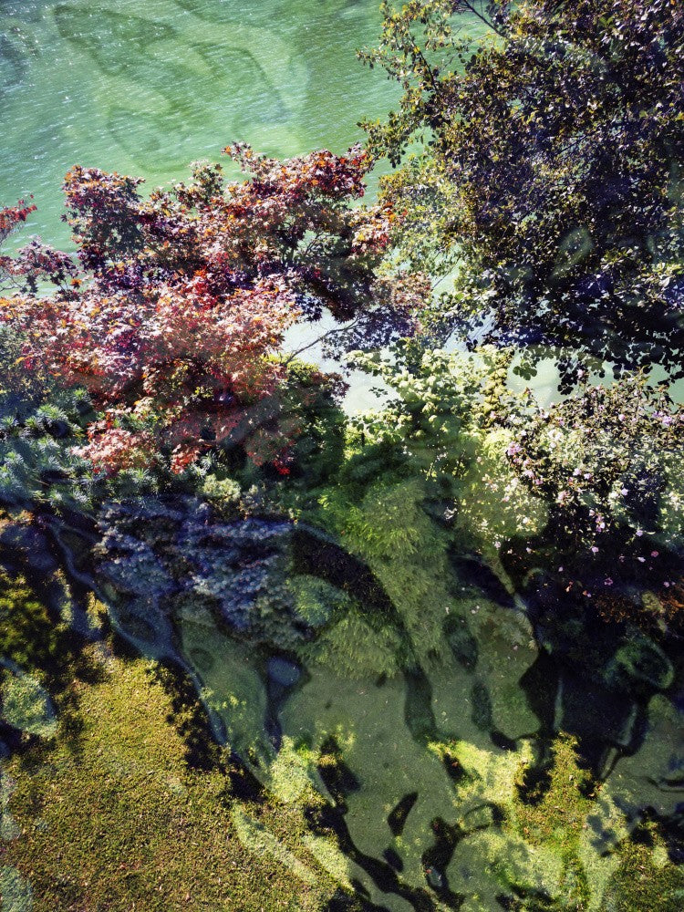 A Garden By the River