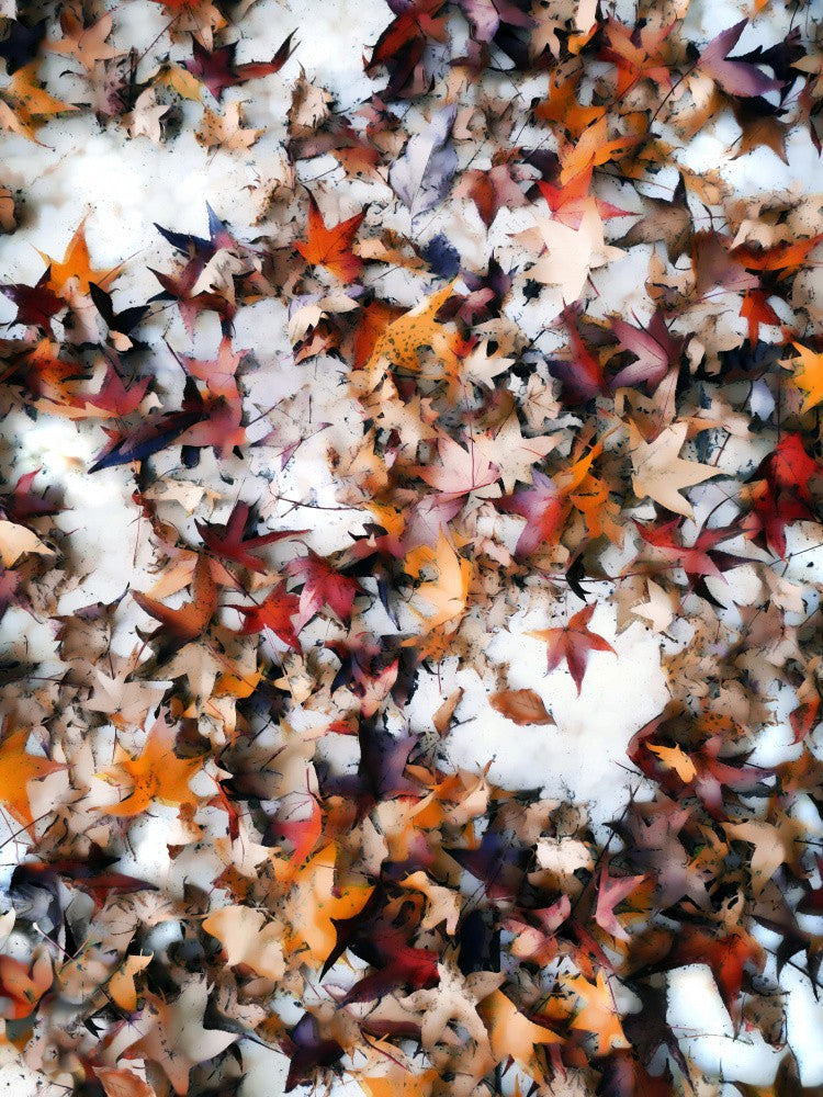 Leaves On Snow