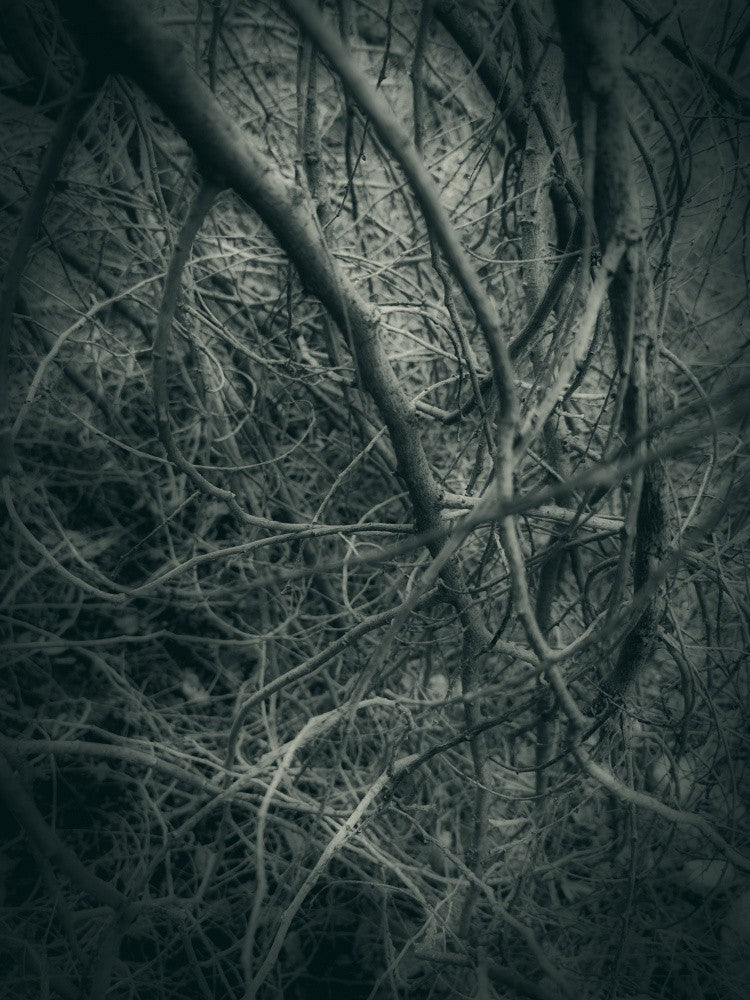 Gothik (2)