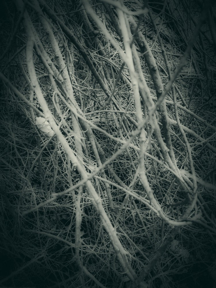 Gothik (1)