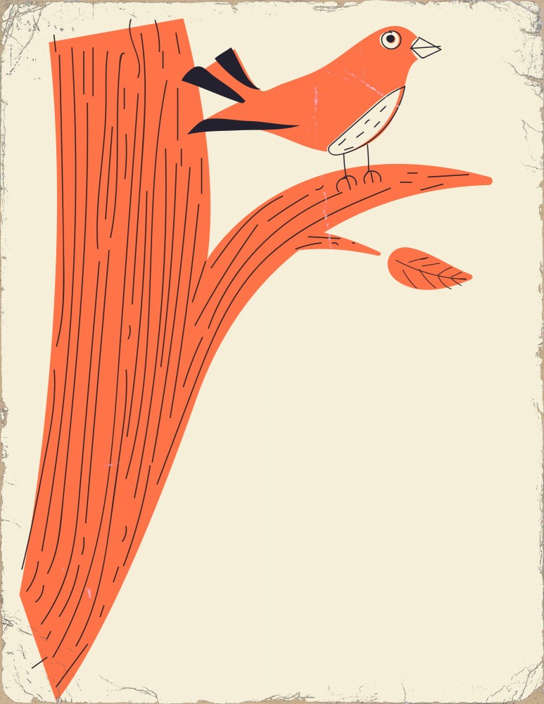Vintage Bird