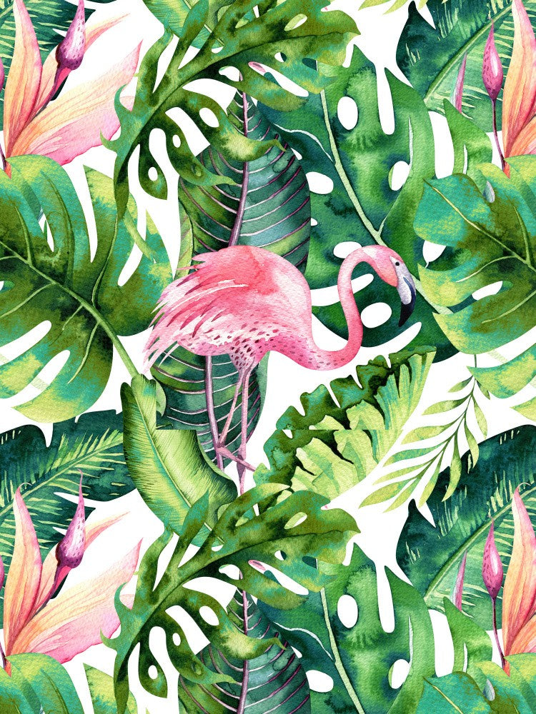 Flamant tropical ||
