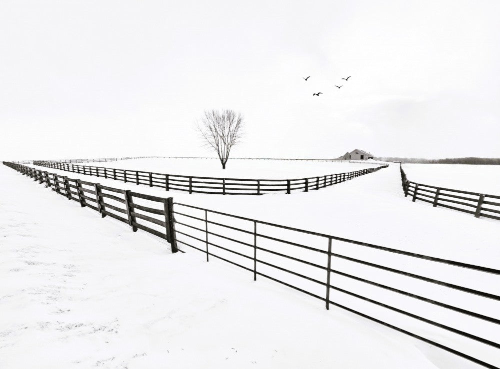 Winterfarm