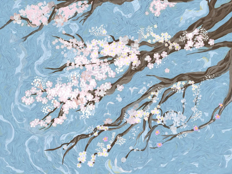 Cherry Blossoms