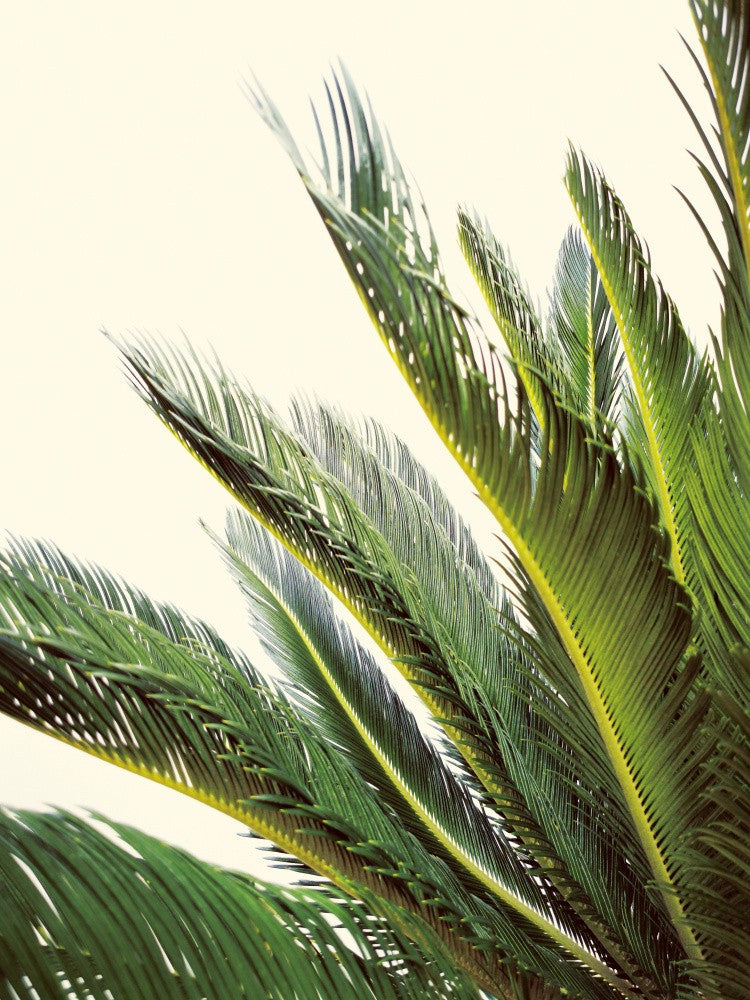 Naples Green (2)