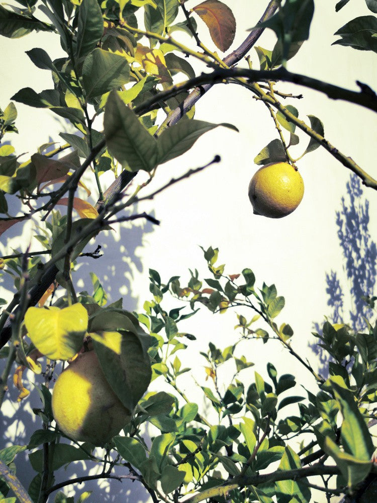Lemons